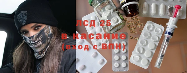 ПСИЛОЦИБИНОВЫЕ ГРИБЫ Арсеньев