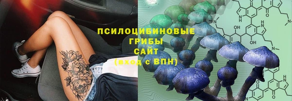 ПСИЛОЦИБИНОВЫЕ ГРИБЫ Арсеньев
